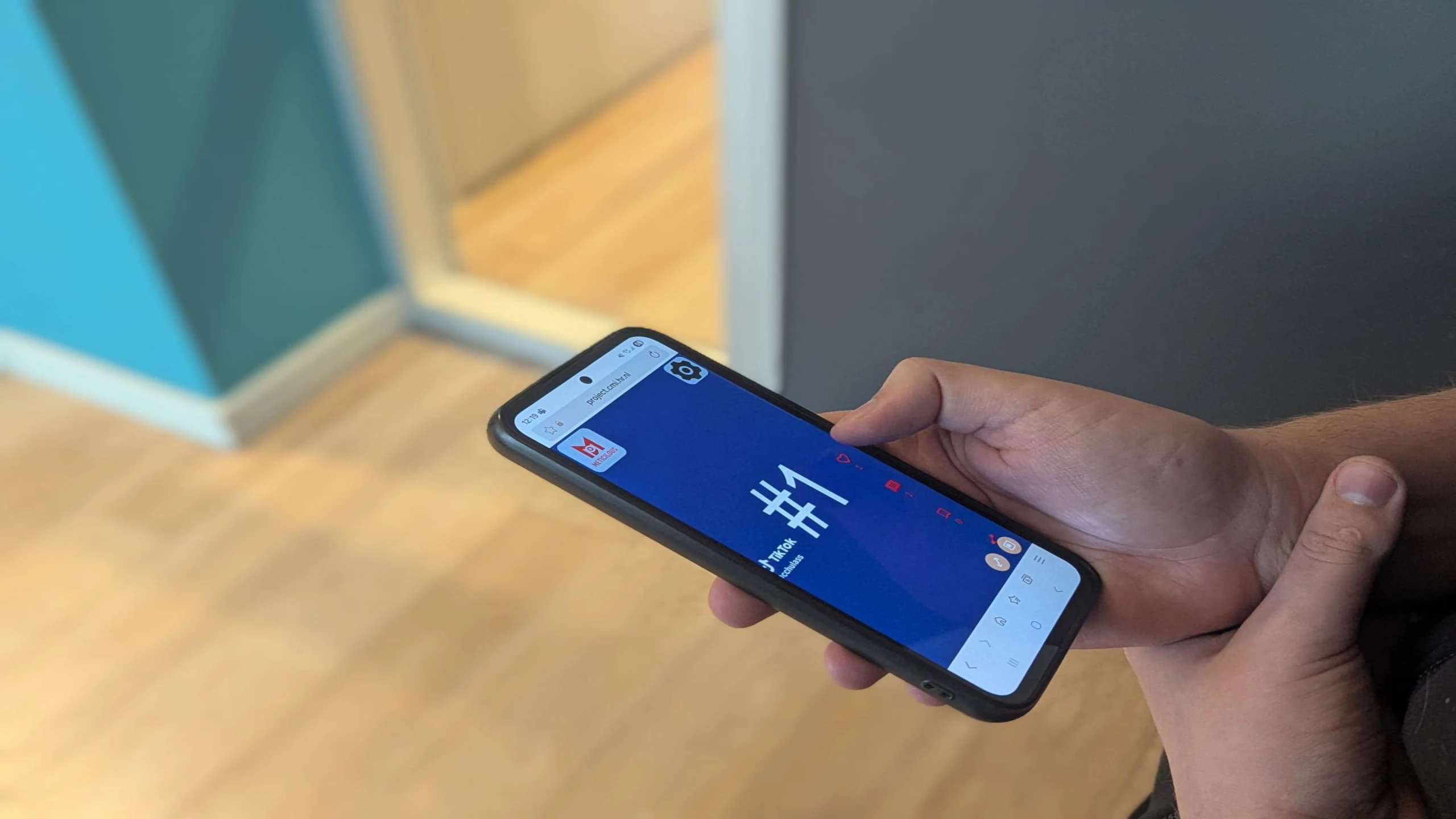 Meticulous Screenshot